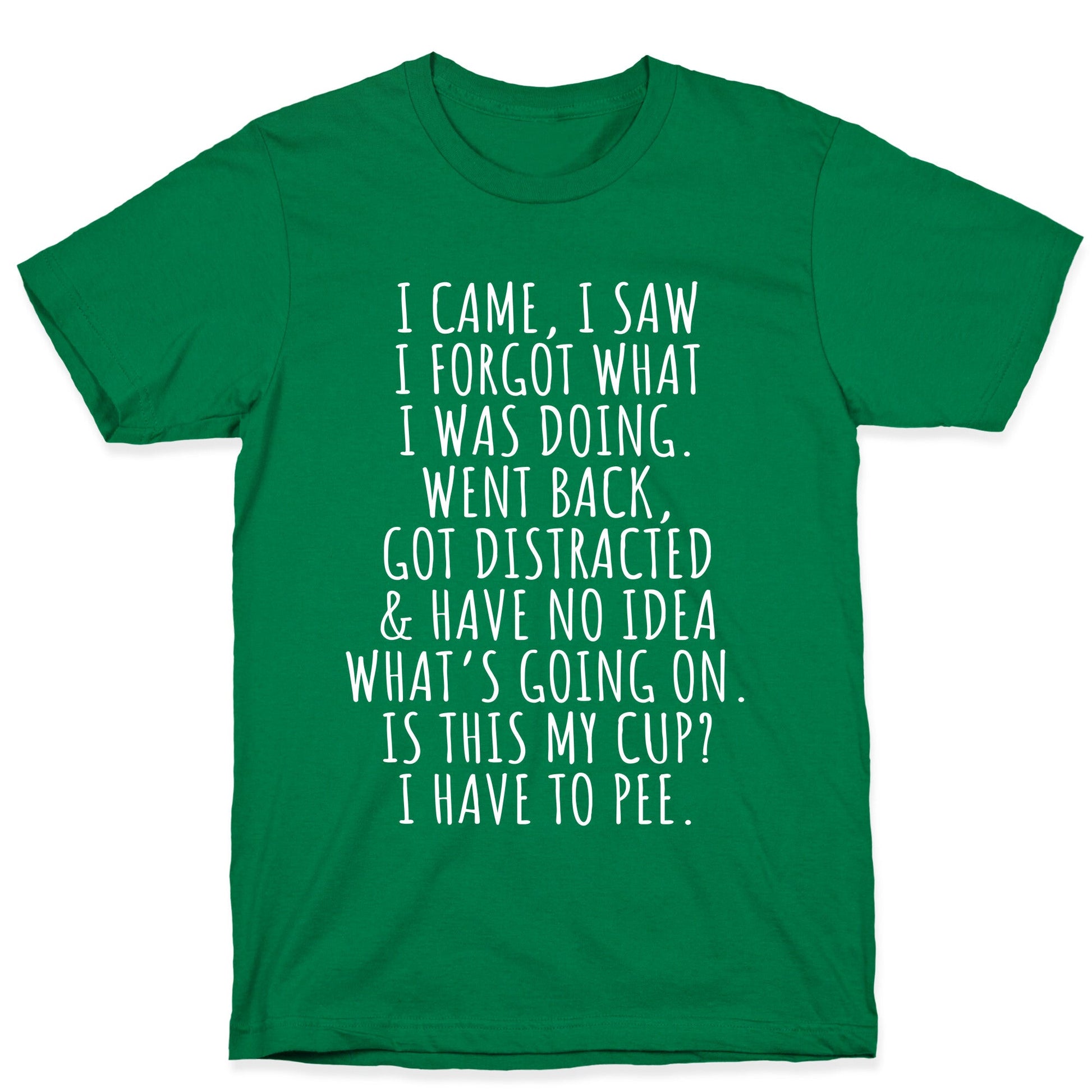 I Came I Saw I Forgot What I Was Doing T-Shirt