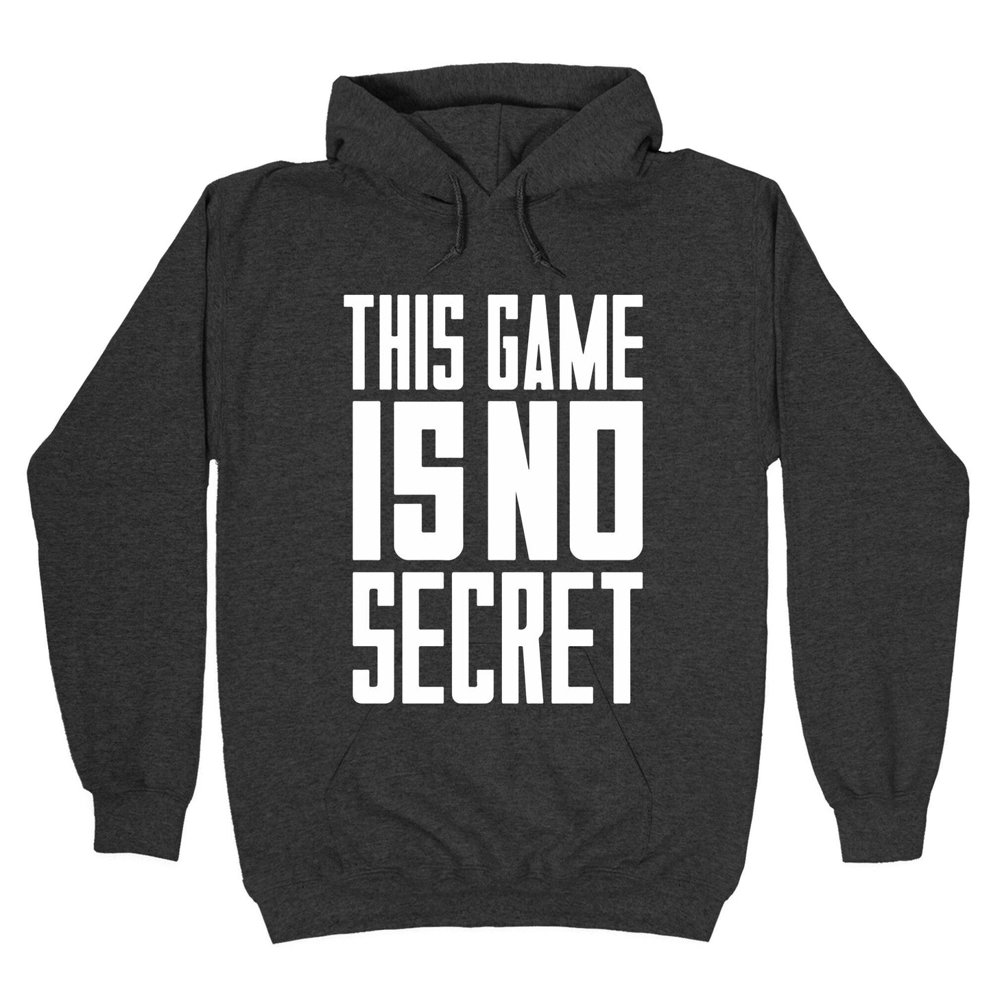 This Game Is No Secret Hoodie