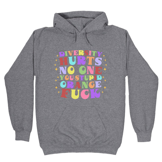 Diversity Hurts No One Hoodie