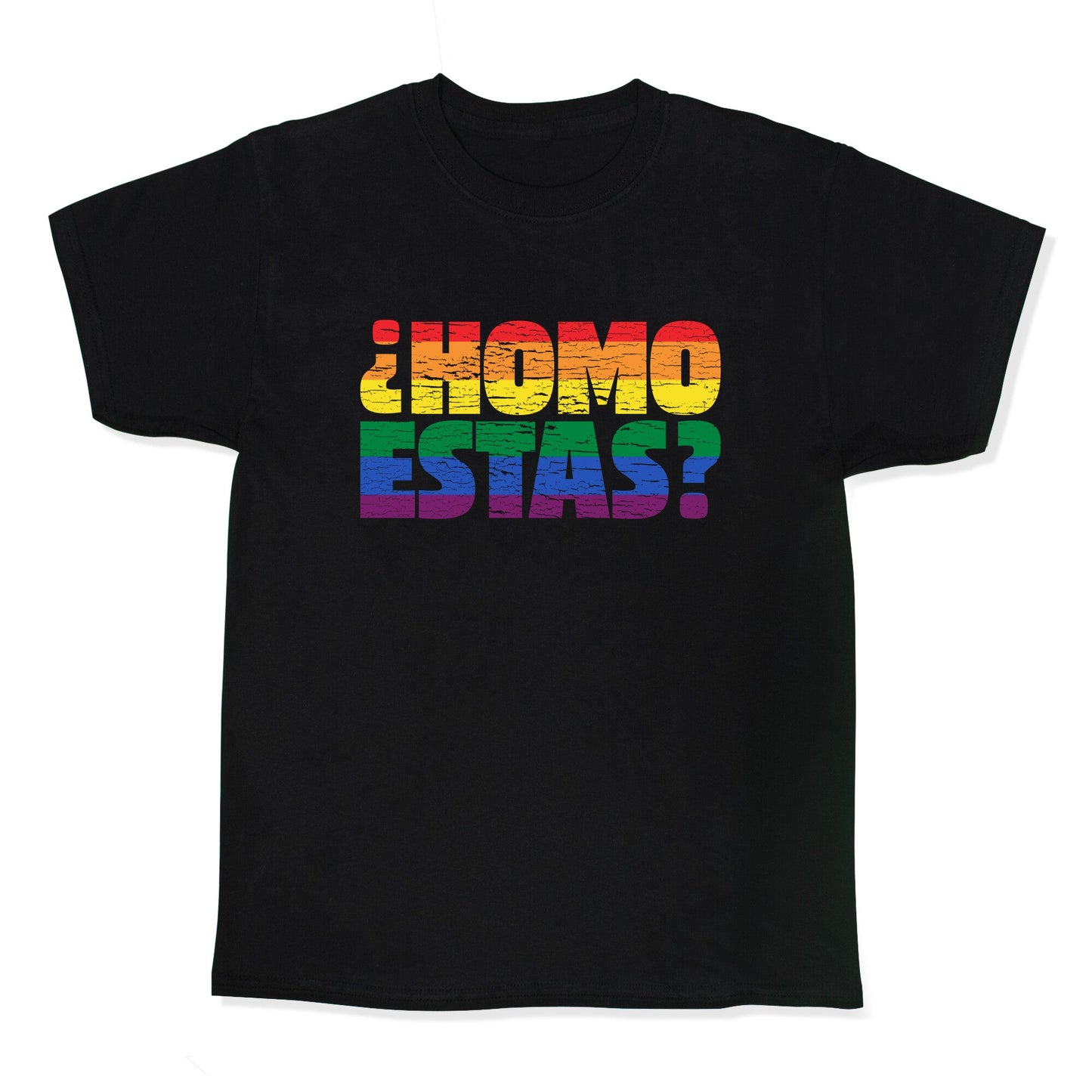 Homo Estas Kids Tee