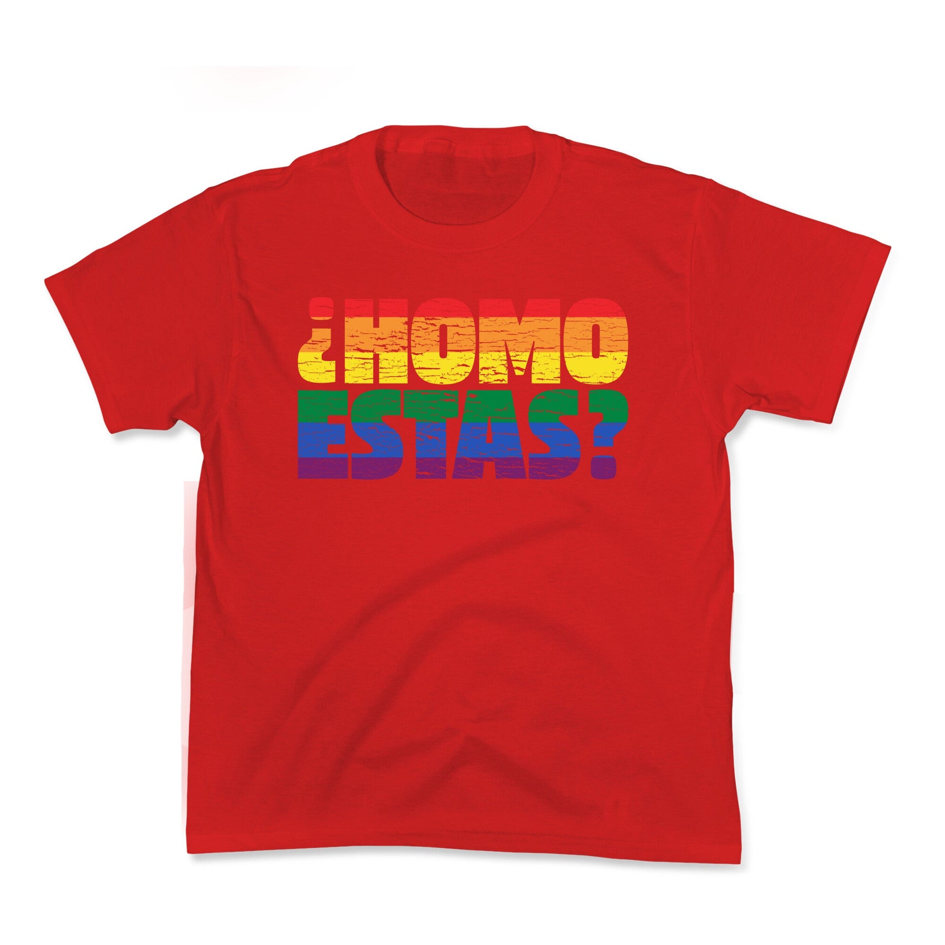 Homo Estas Kids Tee