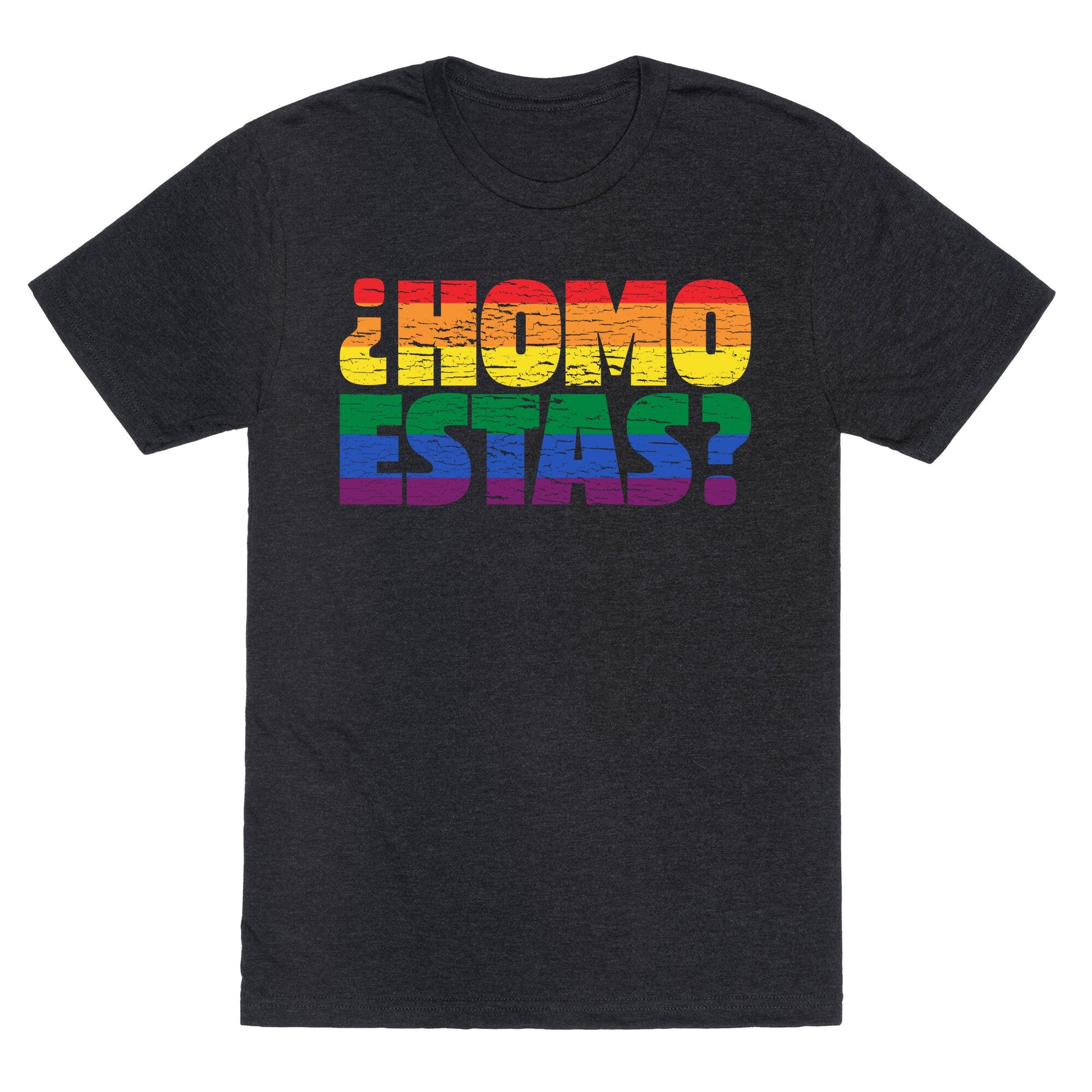 Homo Estas Unisex Triblend Tee