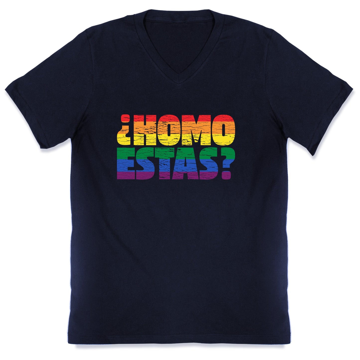 Homo Estas V-Neck