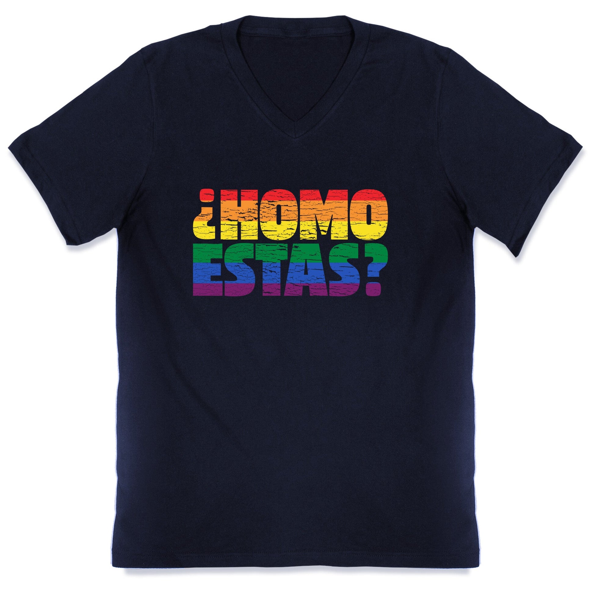 Homo Estas V-Neck