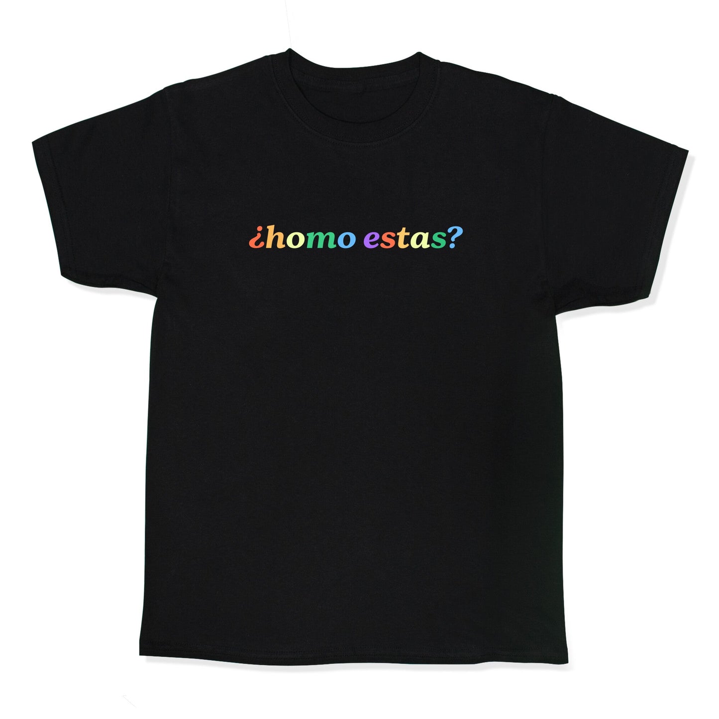 Homo Estas Rainbow Kids Tee