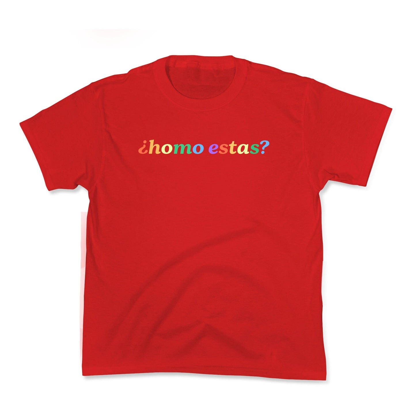 Homo Estas Rainbow Kids Tee