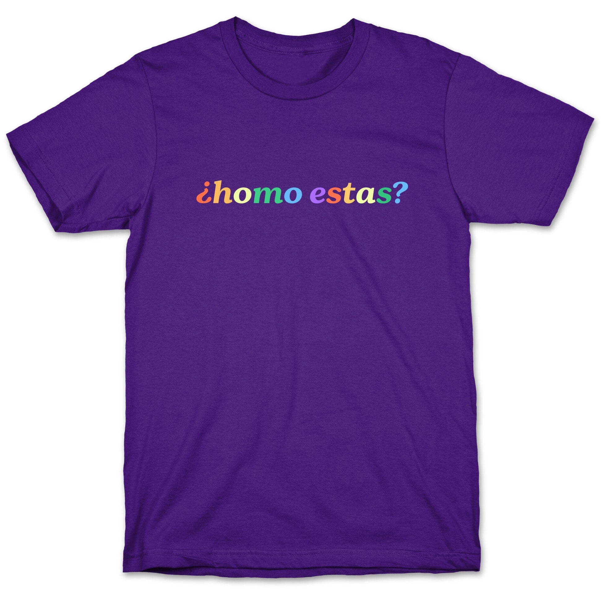Homo Estas Rainbow T-Shirt
