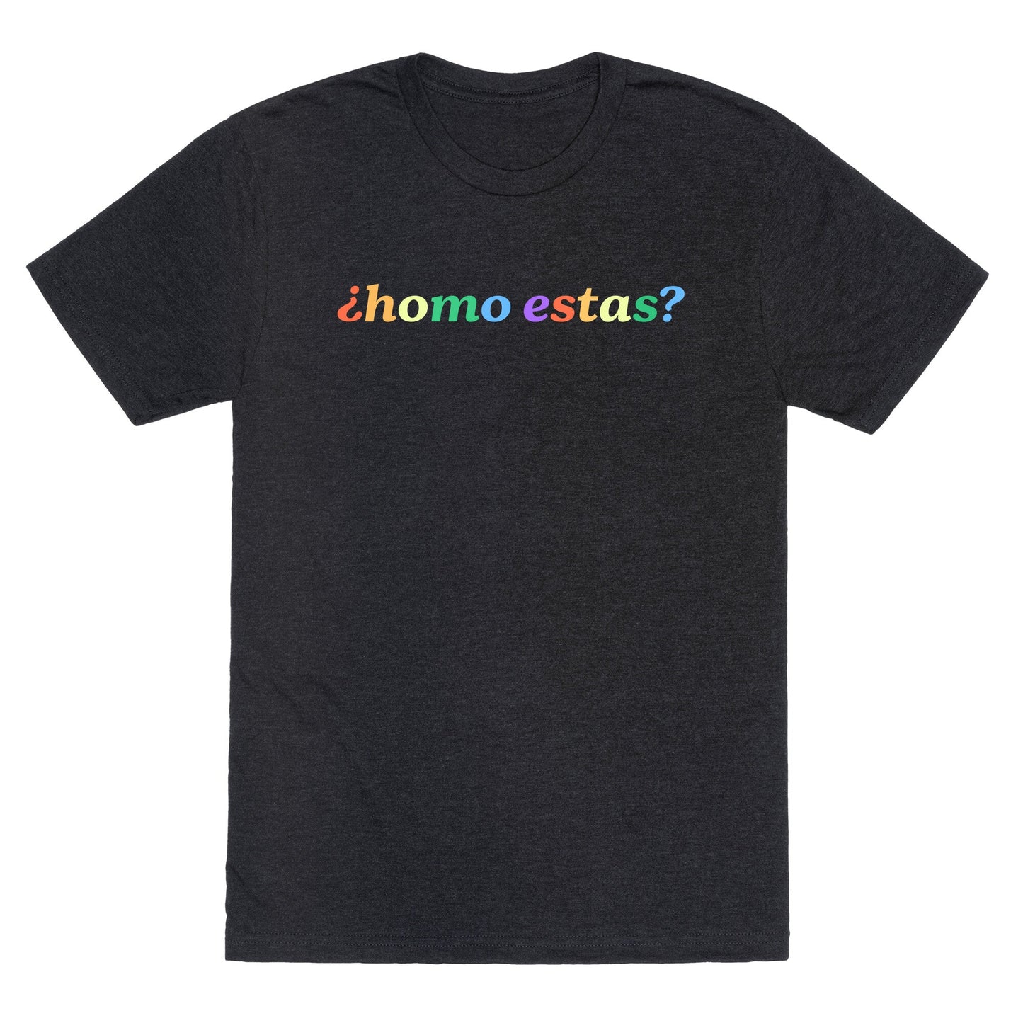 Homo Estas Rainbow Unisex Triblend Tee