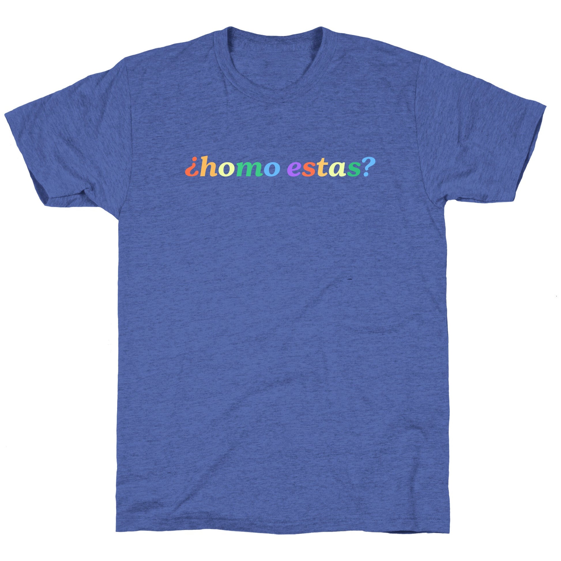 Homo Estas Rainbow Unisex Triblend Tee