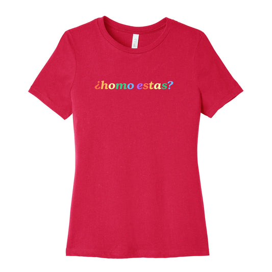 Homo Estas Rainbow Womens Relaxed Fit Cotton Tee