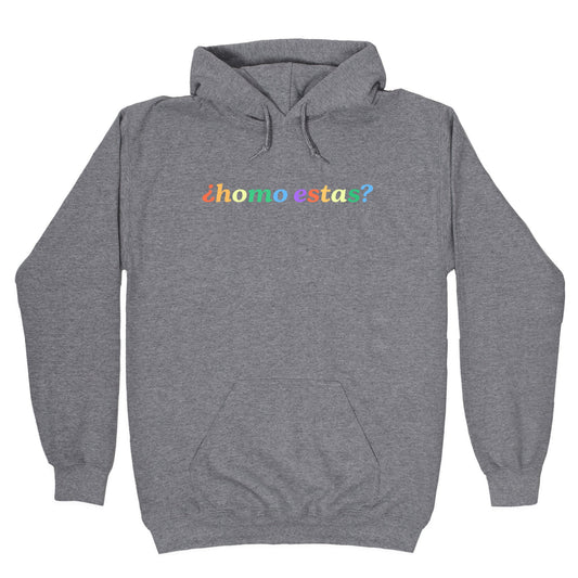 Homo Estas Rainbow Hoodie