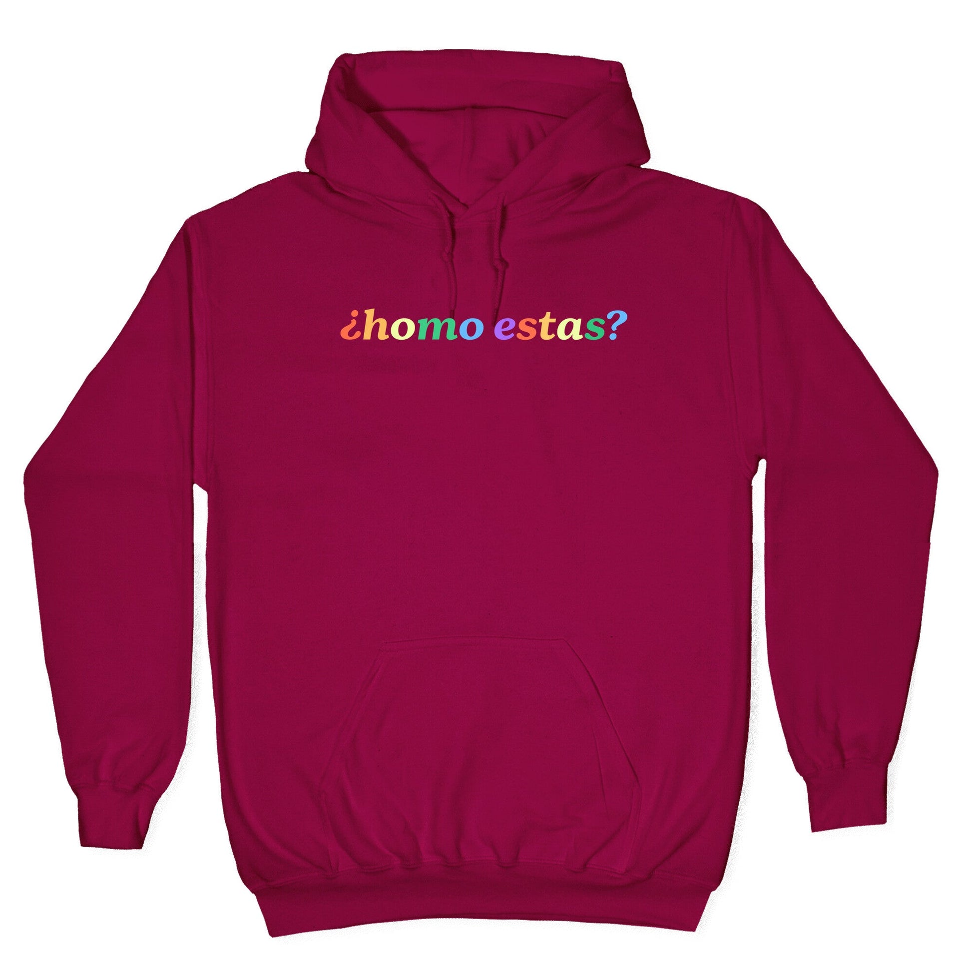 Homo Estas Rainbow Hoodie