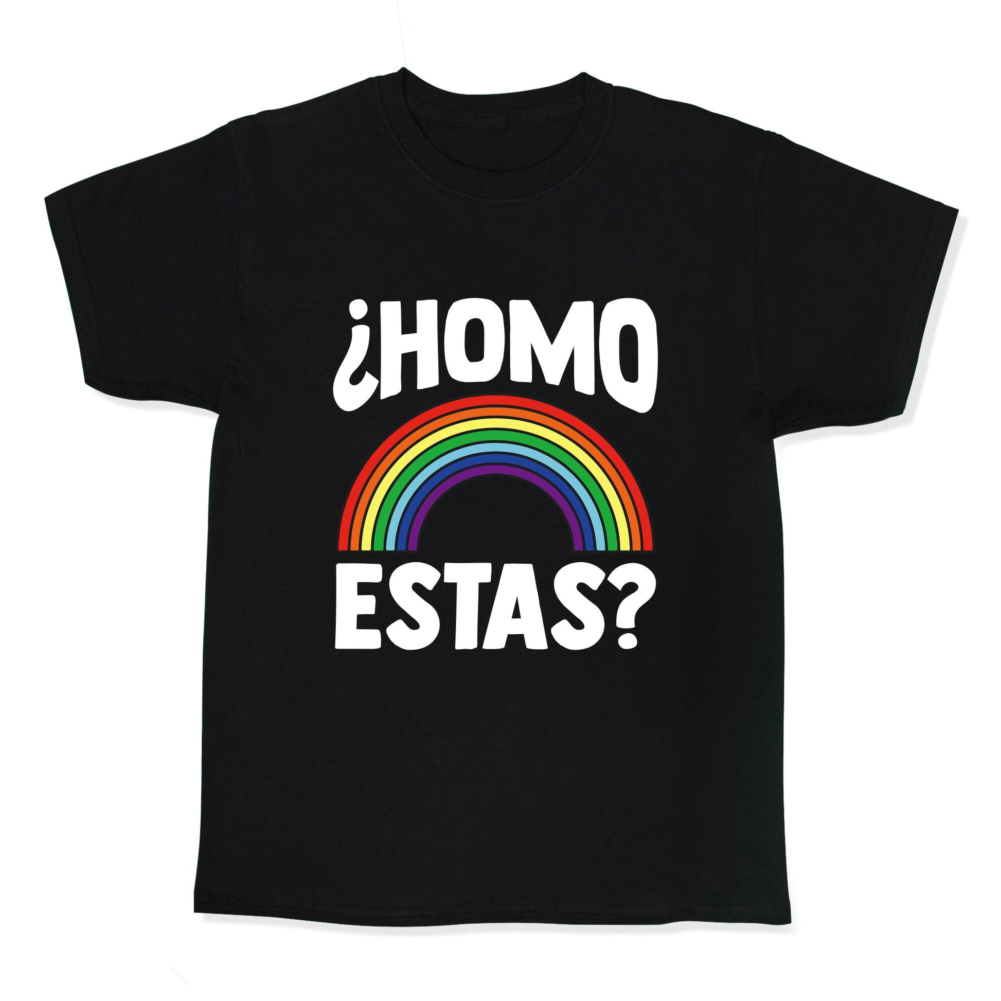 Homo Estas Rainbow Pride Kids Tee
