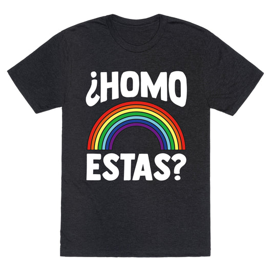 Homo Estas Rainbow Pride Unisex Triblend Tee