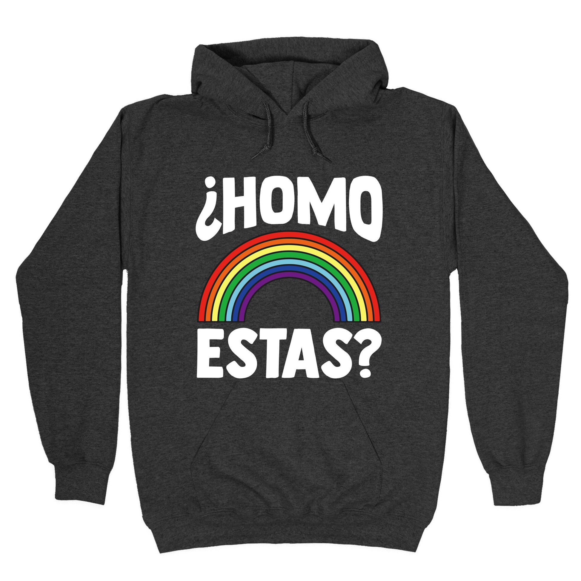Homo Estas Rainbow Pride Hoodie