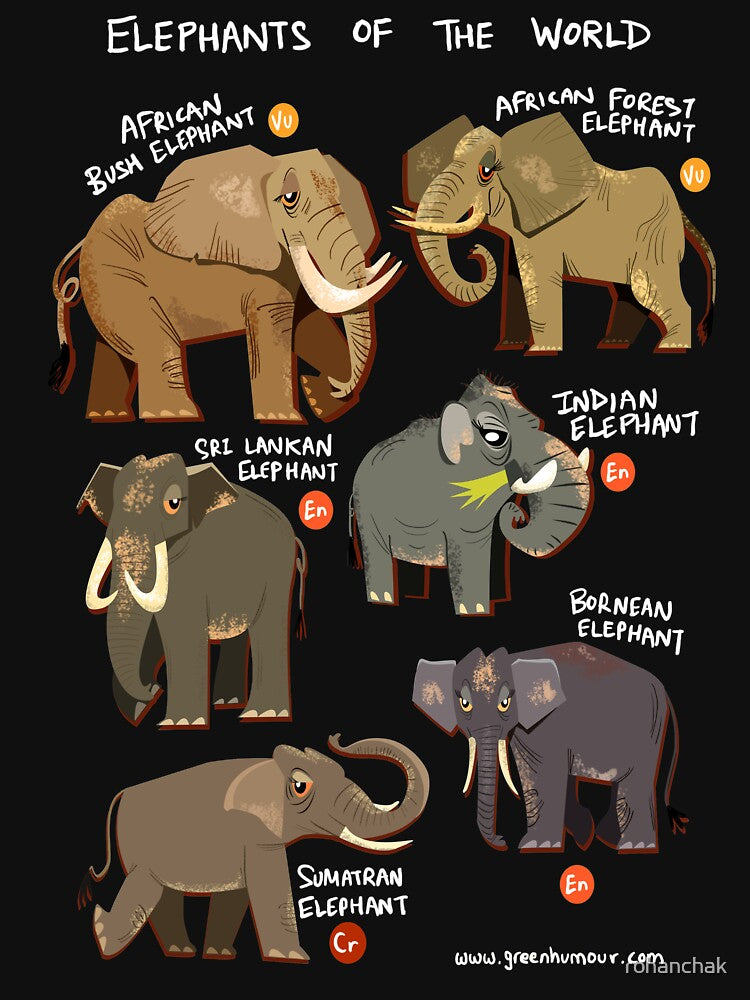 Elephants of the World by Green Humour