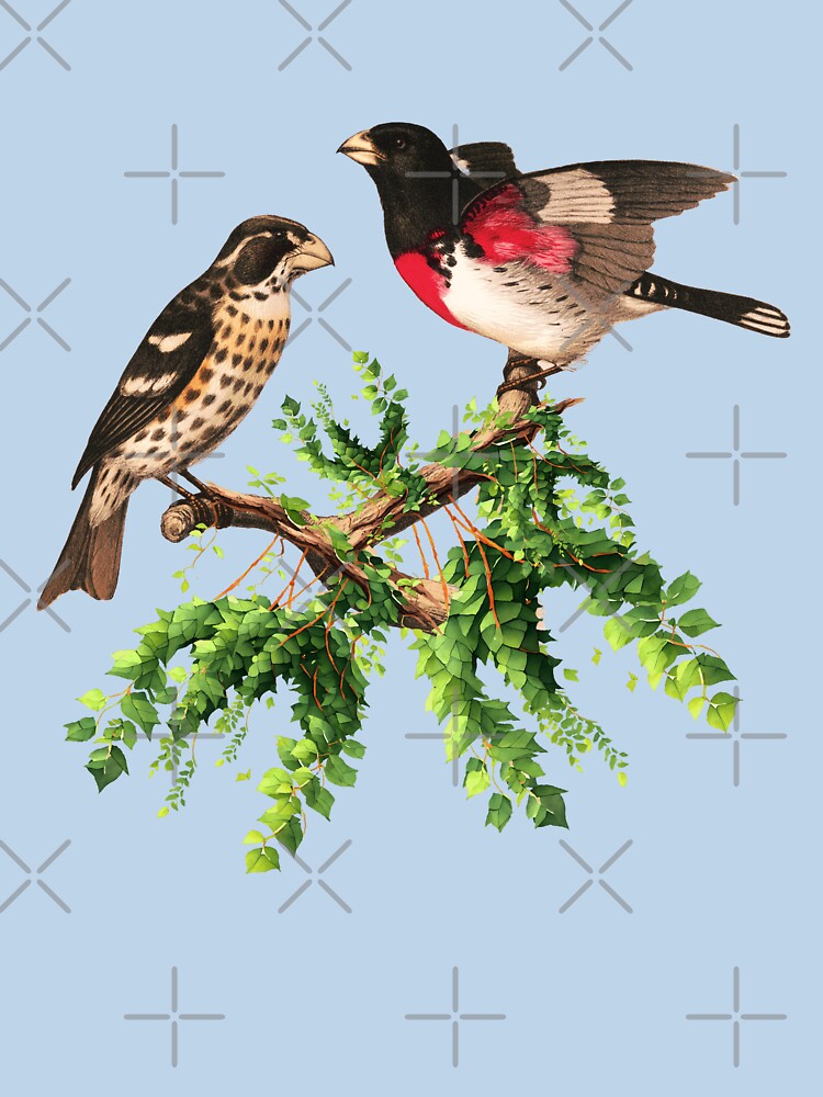 Rose Breasted Grosbeak Bird by Bliss Find And Design