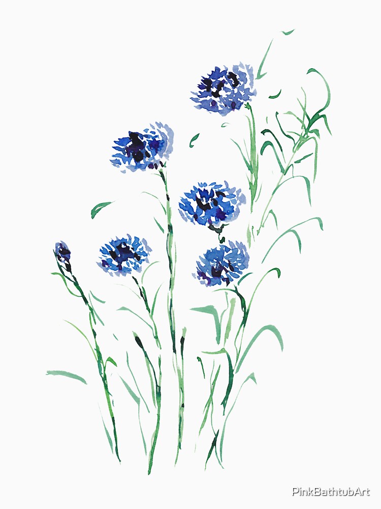 Blue Cornflower - Watercolor Wildflowers by PinkBathtubArt