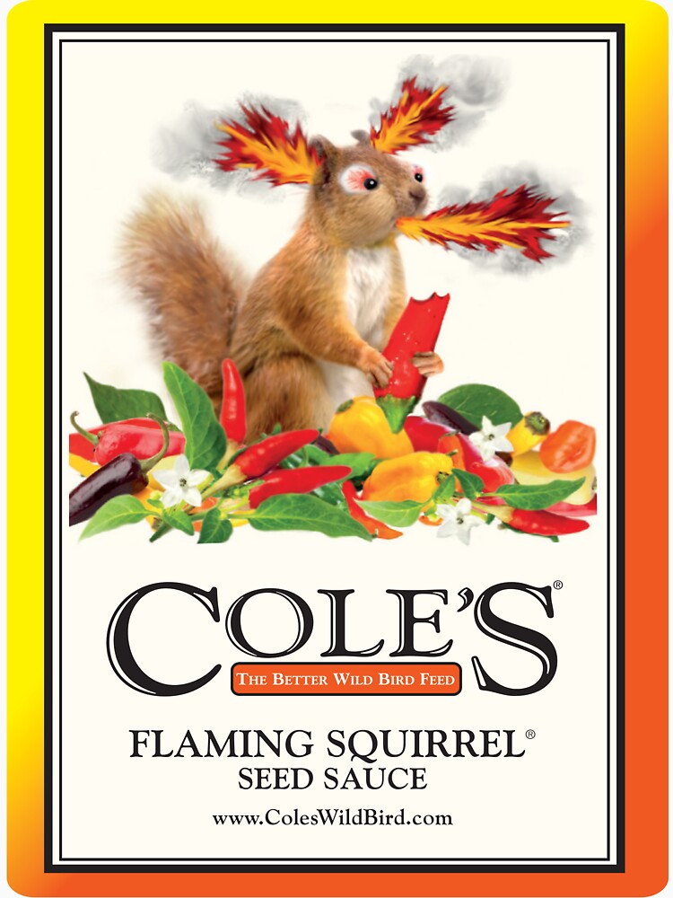 Flaming Squirrel Seed Sauce by ColesWildBird
