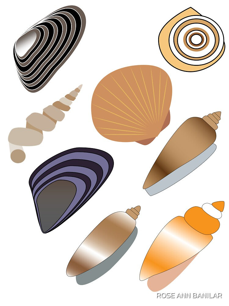 Seashells by ROSE ANN BANILAR