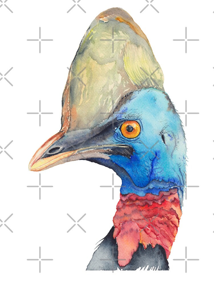 Cassowary - Australian bird watercolour by Zoya Makarova
