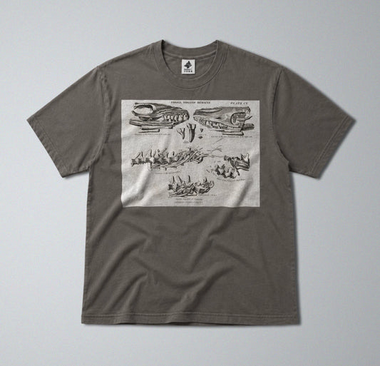 100% Cotton Tee - Regular Fit - Unisex - Prehistoric Mosasaurus Skull Fossil