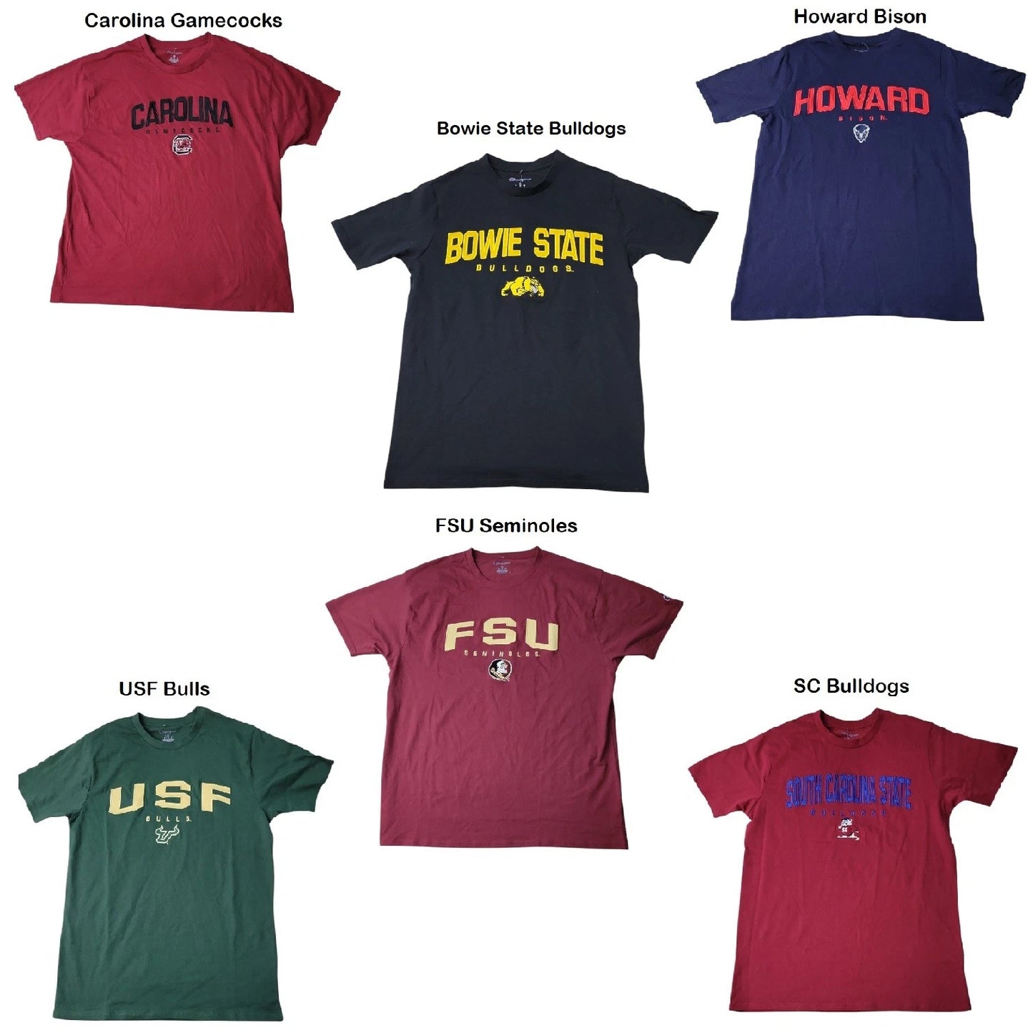 Champion Men's NCAA Short Sleeve Embroidered Crew Neck Tee