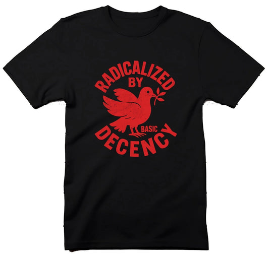 Radicalized By Basic Decency T-Shirt, Peace Dove, Political Tee, Equality Shirt,