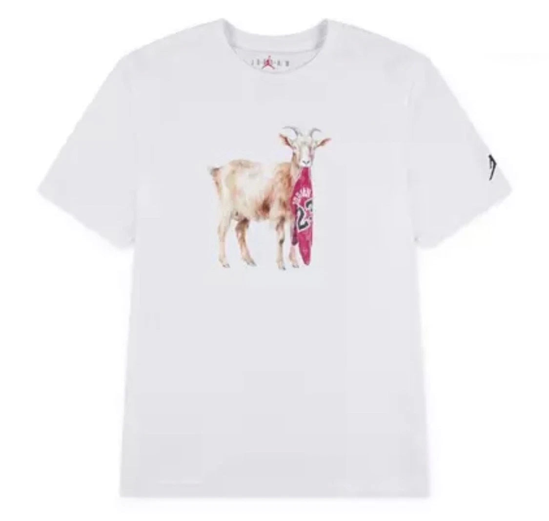 Air Jordan GOAT Tee * size Large | New, Unworn