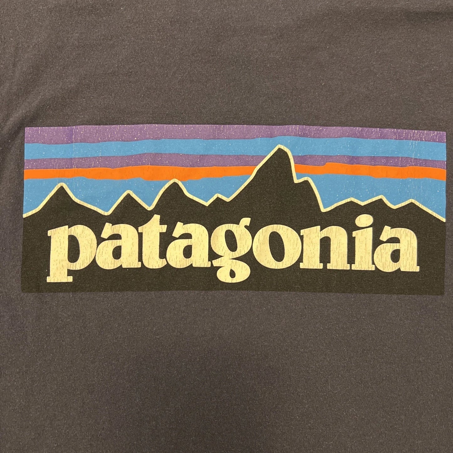 Patagonia Simple Brand Logo On Back, Small Logo Front Shirt Medium Blue Vintage