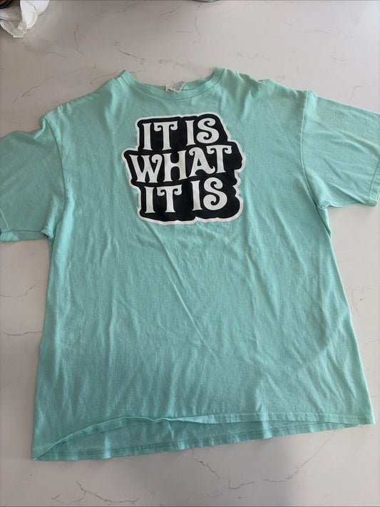 It Is What It Is Blue XL Print Shirt Sarcastic Funny Saying