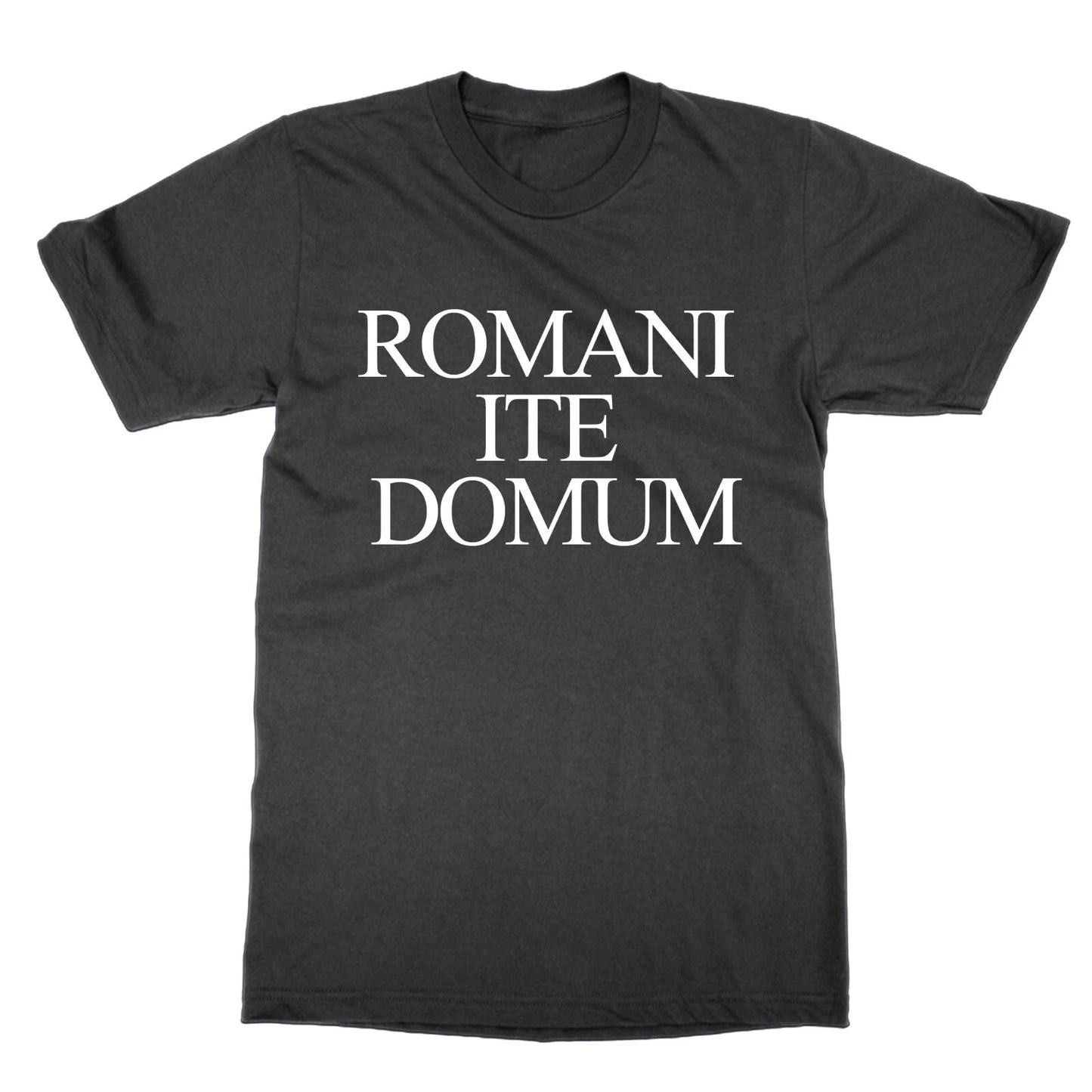 Romani Ite Domum t-shirt funny Latin Life of Brian tee present gift