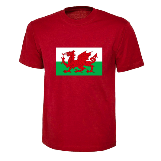 Wales Flag Red Dragon T-shirt for Adult, Children Ladies World Cup Football 2026