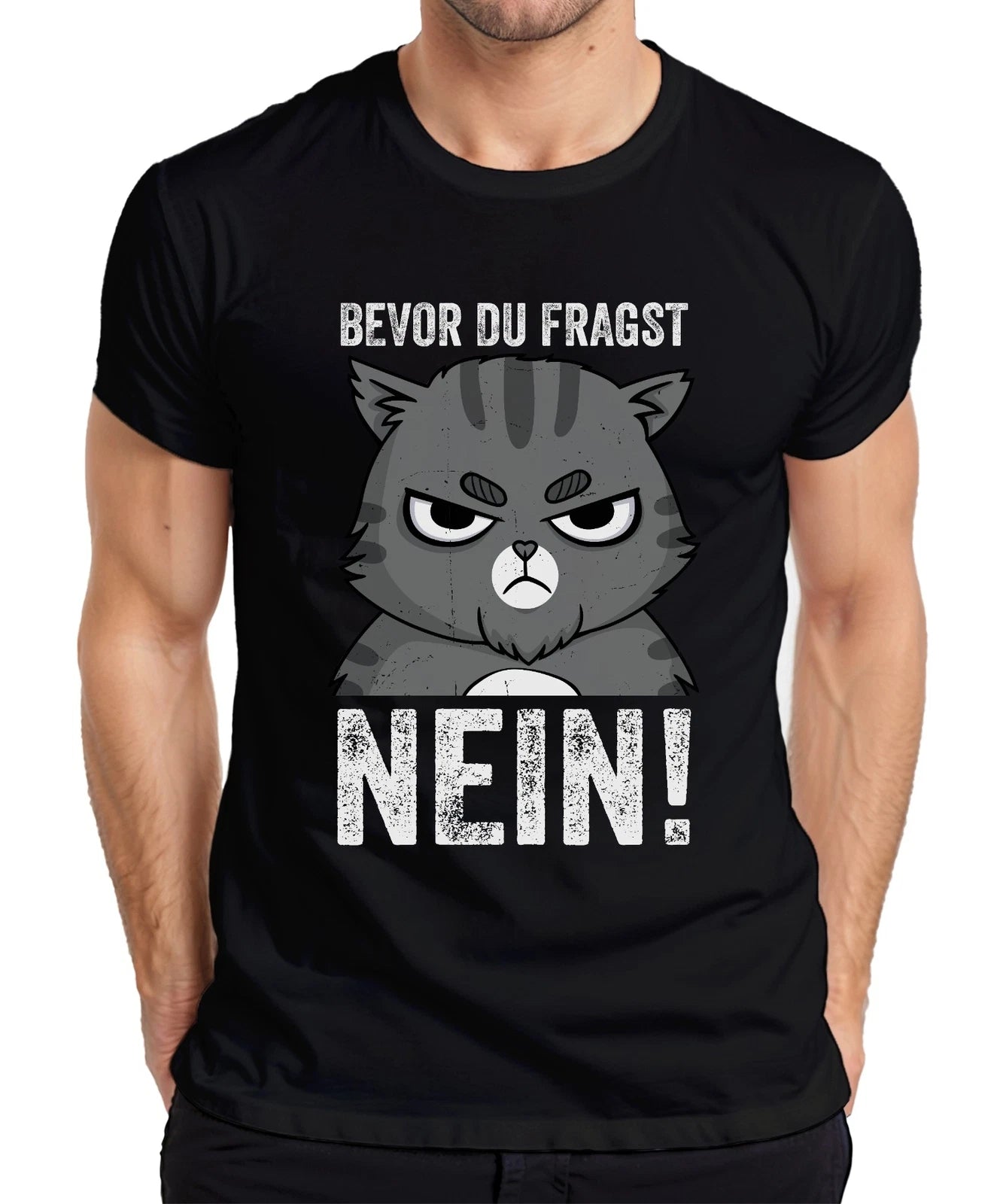 Funny Cats Saying Before You Ask NO Grumpy Cat Humor Mens T-Shirt