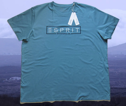 Esprit Mens T-Shirt 3XL, 4XL Turquoise, Dove Blue, Cotton, Cotton