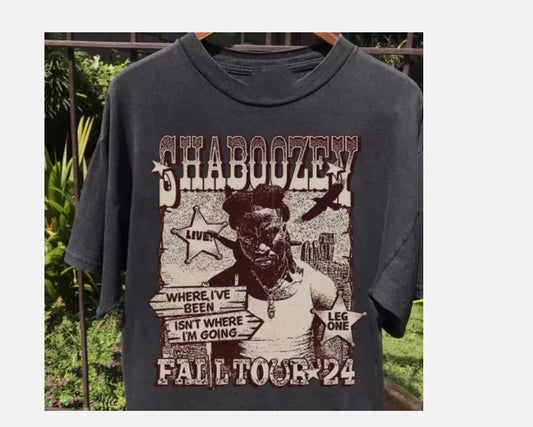 Shaboozey Fall Tour 2024 Gift For Fan All Size S to 5Xl T-shirt