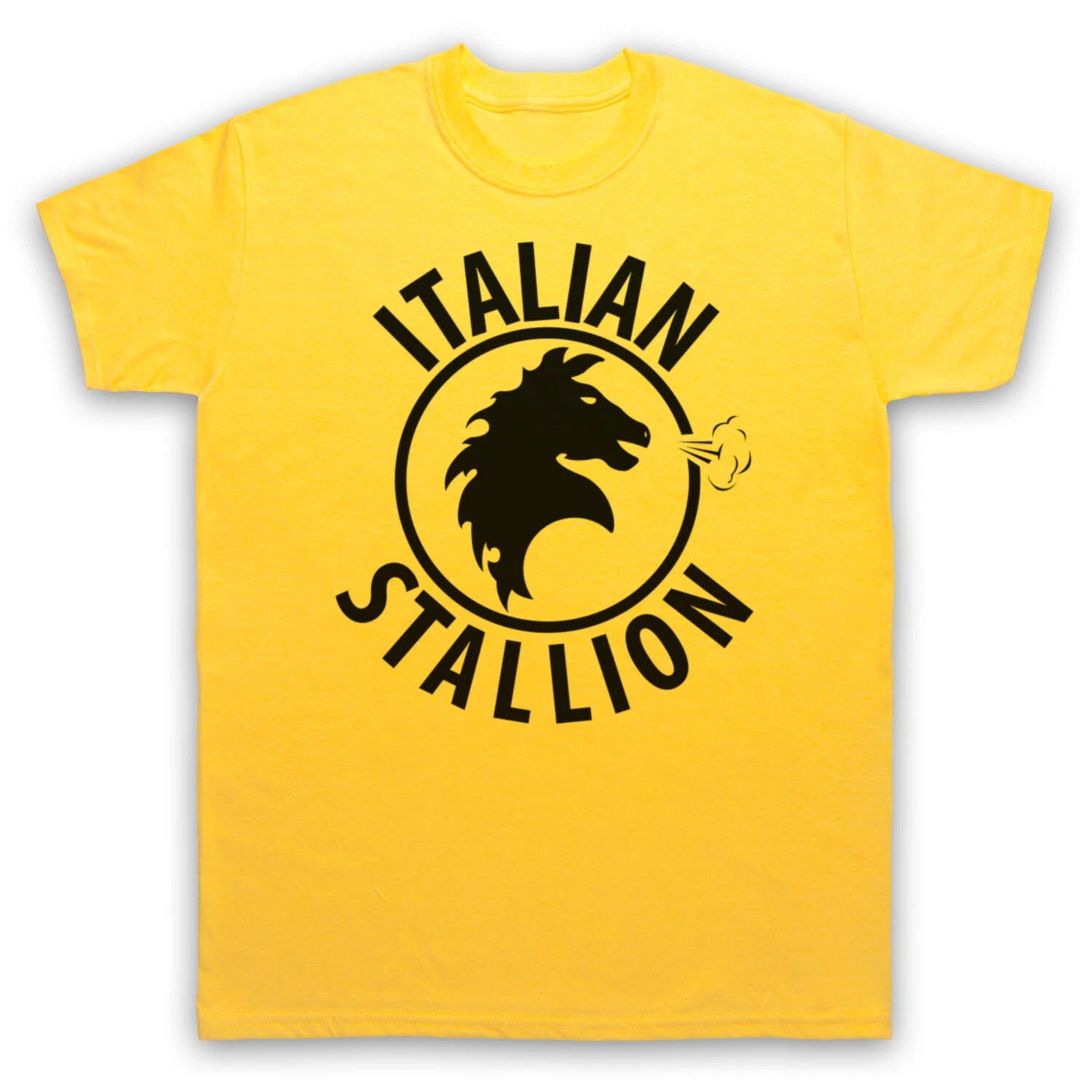 ITALIAN STALLION UNOFFICIAL ROCKY BOXING LOGO ROBE FILM MENS & WOMENS T-SHIRT