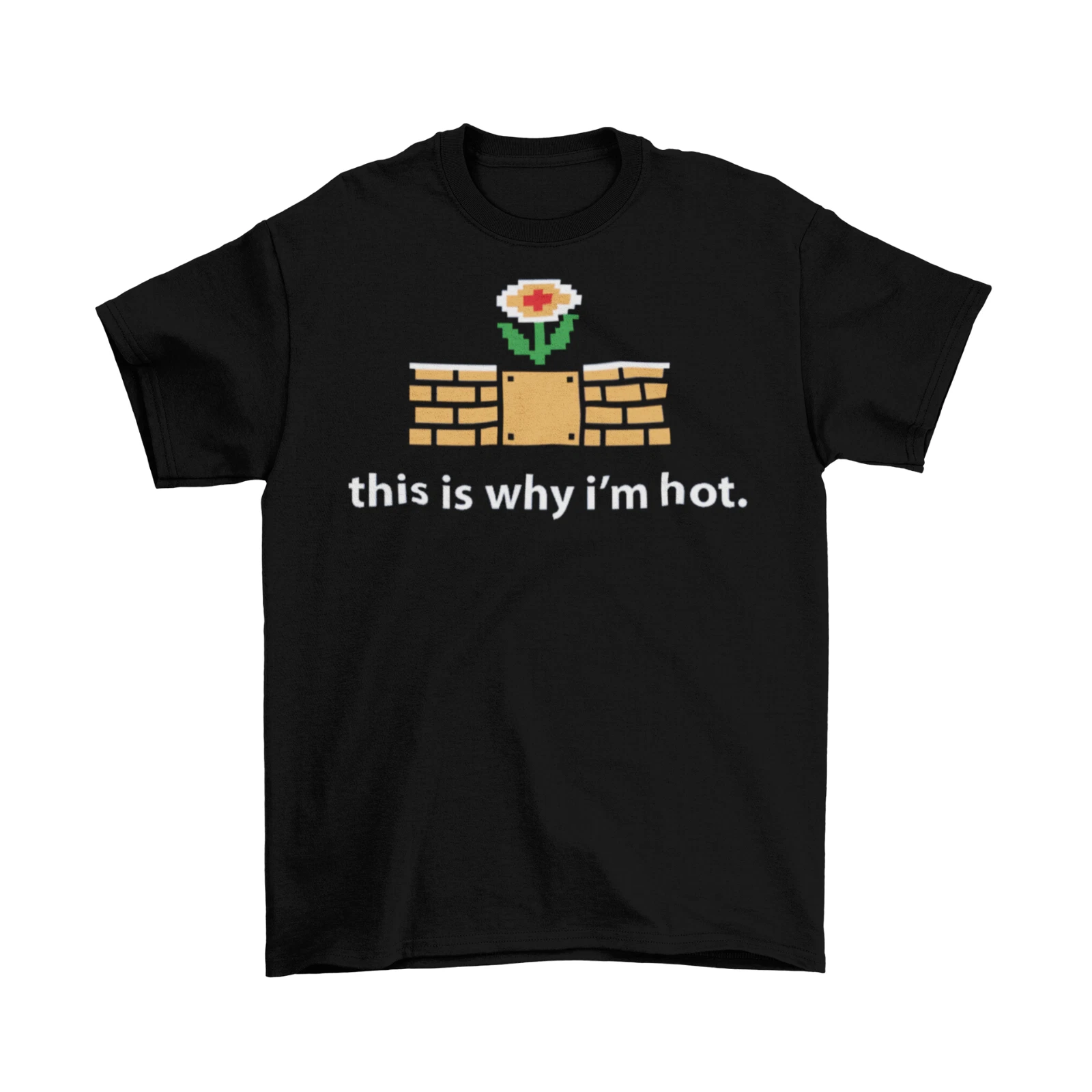This Is Why I'm Hot Fire Flower T-Shirt Unisex Adult Funny Sizes Mario Nintendo