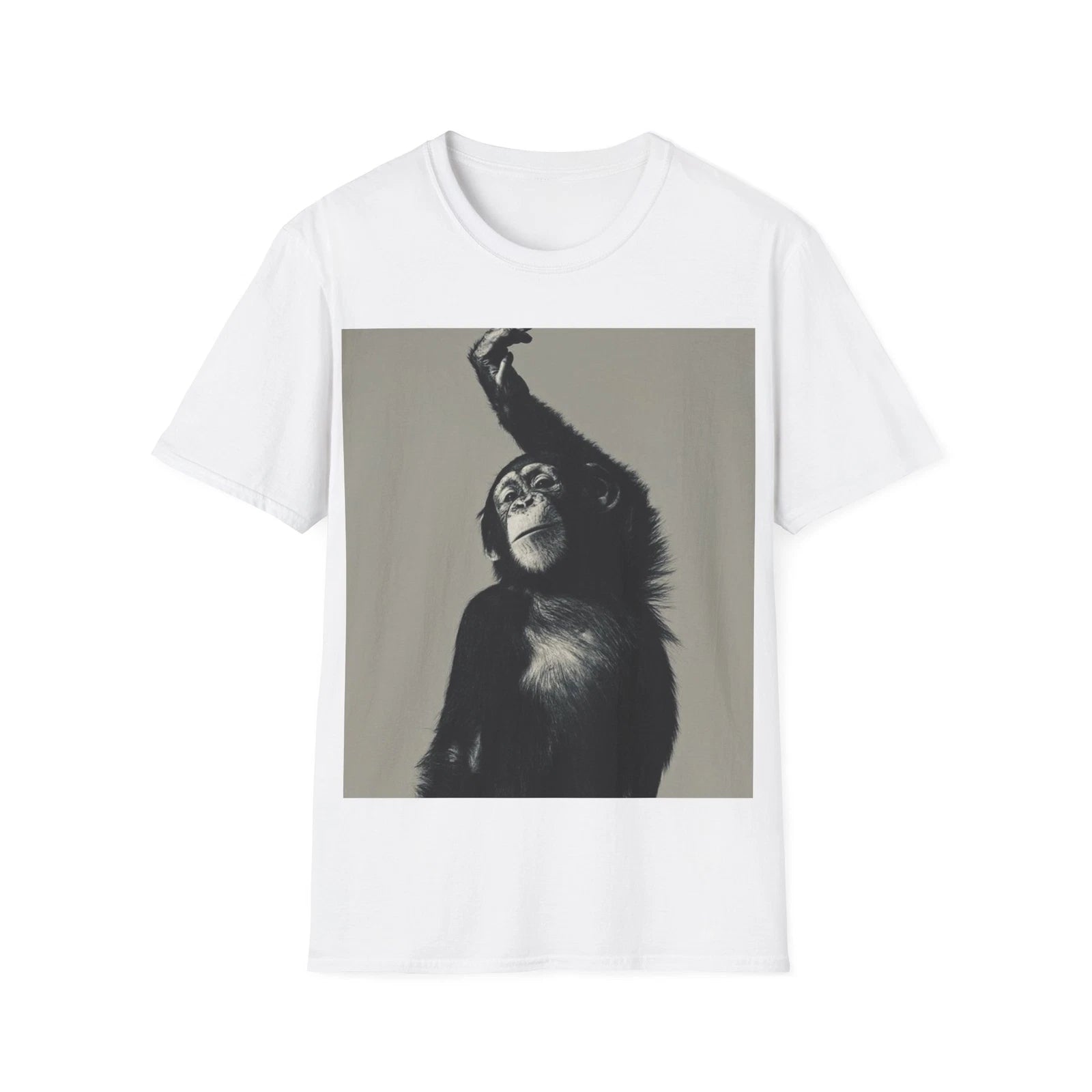 Unisex t-shirt, Men's t-shirt, Women's t-shirt, Tee with print, b/w print.