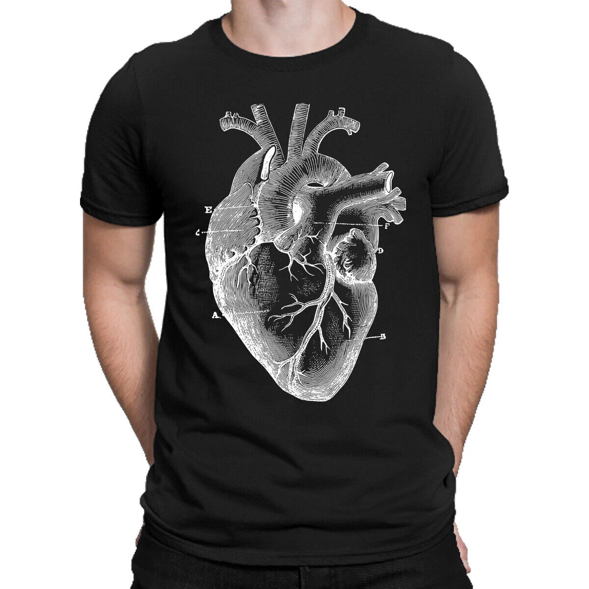 Anatomy Of a Heart Medical Science Biology Body Organs Mens T-Shirt#AL