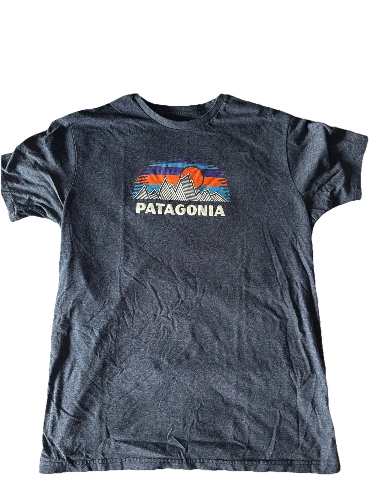 Patagonia Men's Short Sleeve T-Shirt Large Slim Fit