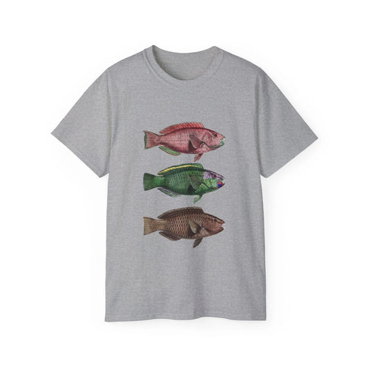 Fish Parrot Fish Lithograph Educational | Custom Graphic T-Shirt