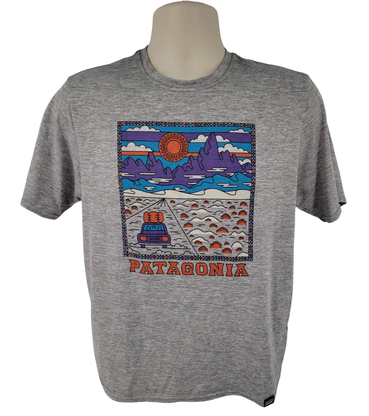 Patagonia Capilene Cool Daily Graphic Shirt Mens S Gray Outdoor T Shirt 45235