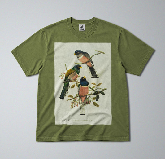 100% Cotton Tee - Regular Fit - Unisex - Colorful Perching Birds Print