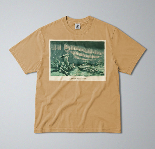 100% Cotton Tee - Regular Fit - Unisex - Aurora Borealis - Northern Lights
