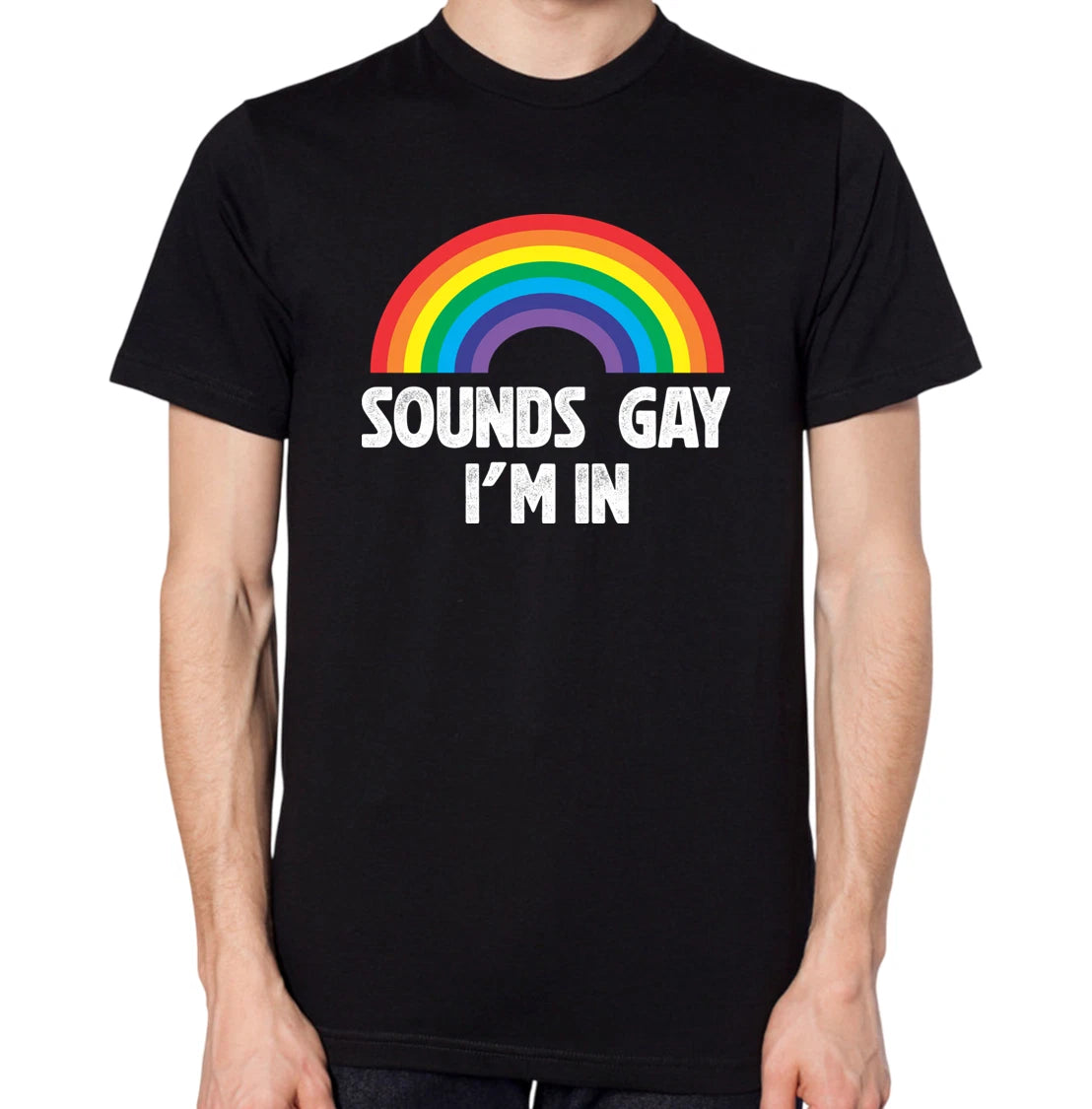 Sounds Gay I'm In T-Shirt Men Women Unisex Top