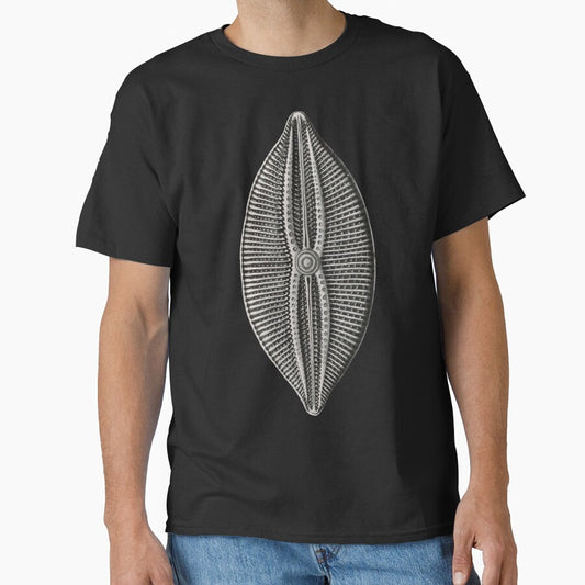 Ernst Haeckel Diatom algae by DreamingBeetle