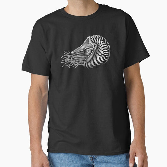 Nautilus by TimJeffsArt