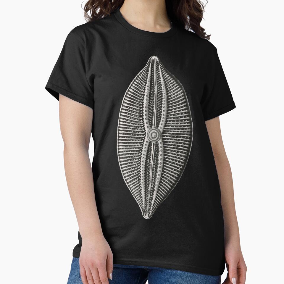 Ernst Haeckel Diatom algae by DreamingBeetle