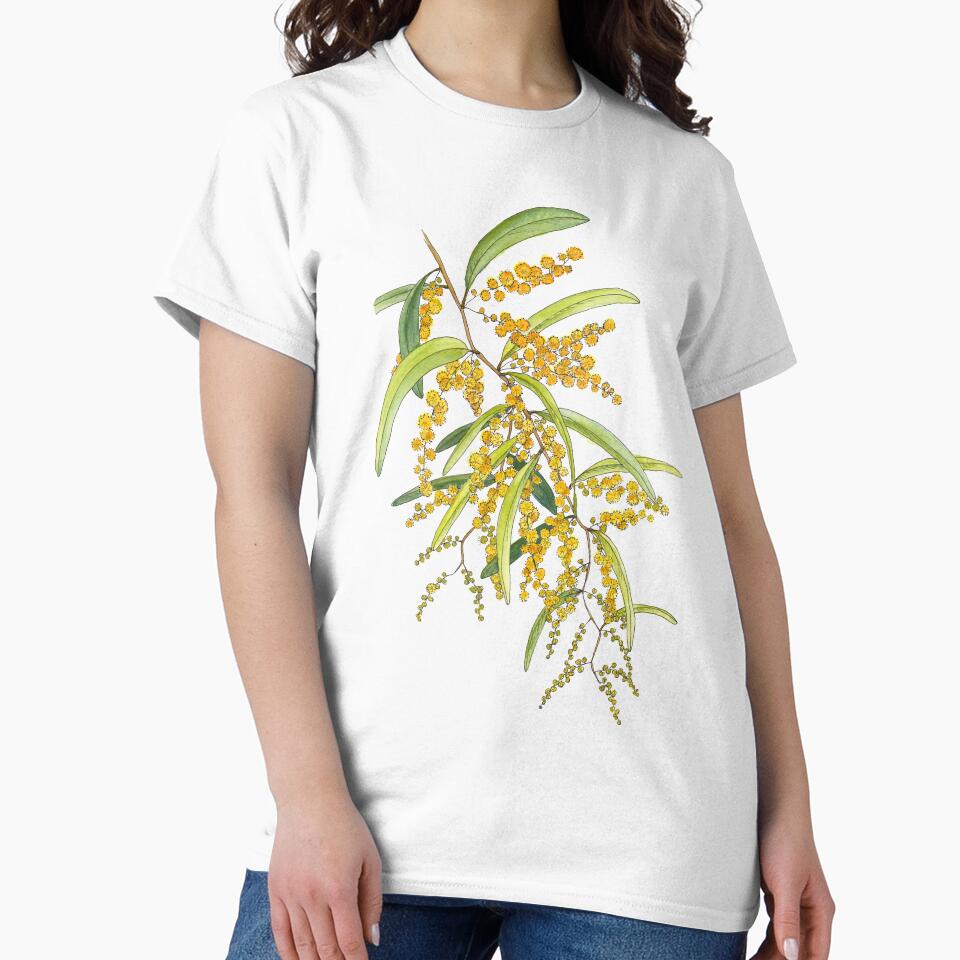Australian Wattle Flower, Illustration by JRoseDesign